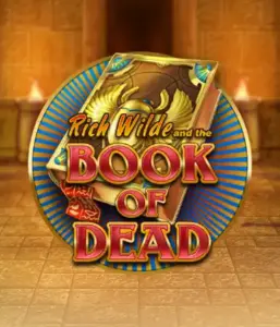 Enter the thrilling world of Book of Dead by Play'n GO, presenting vivid graphics of Rich Wilde's journey through ancient Egyptian tombs and artifacts. Discover lost riches with engaging mechanics like free spins, expanding icons, and a gamble option. Ideal for those seeking adventure with a desire for thrilling discoveries.